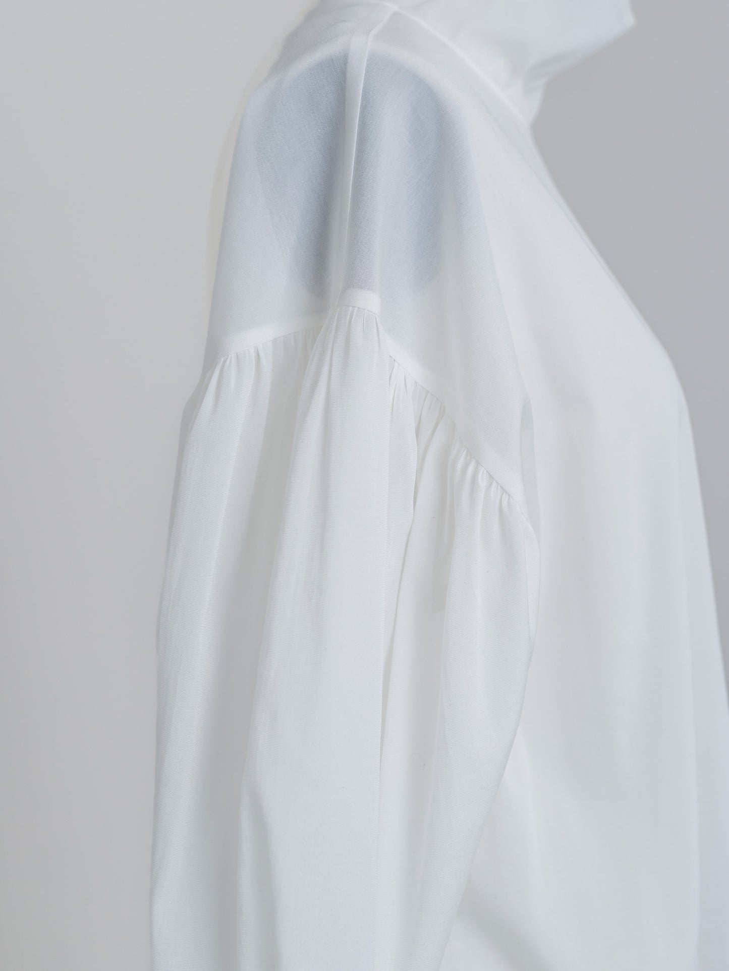 【ORDER】Dwight / sheer high neck dual blouse
