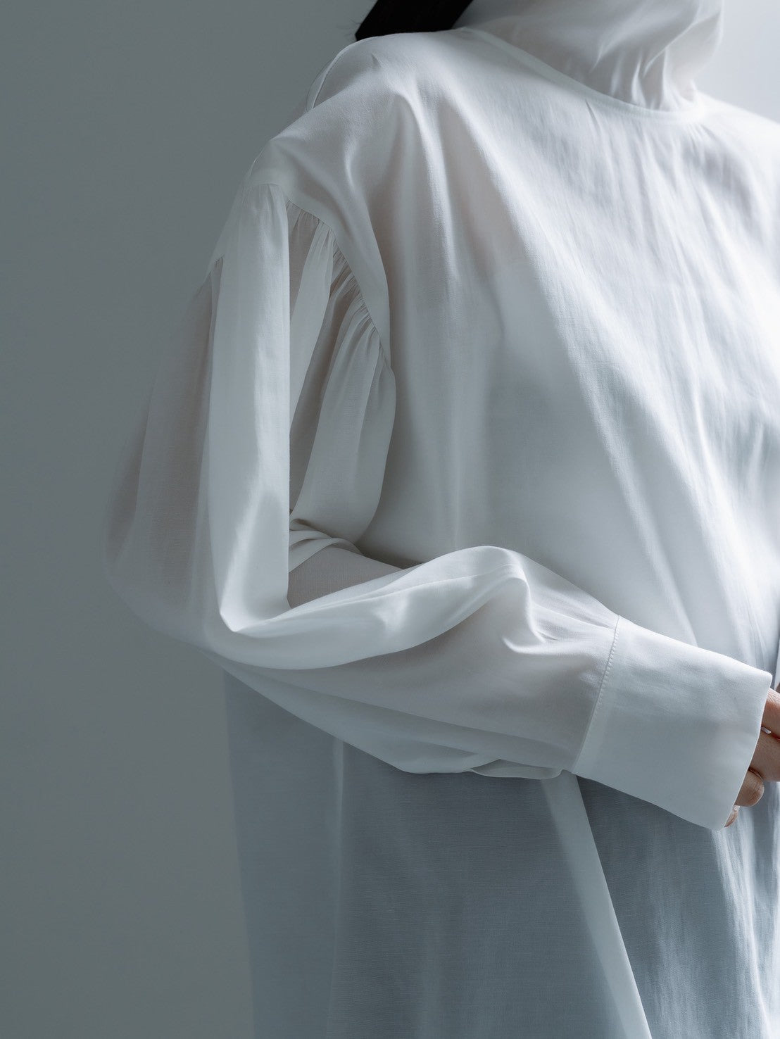【ORDER】Dwight / sheer high neck dual blouse