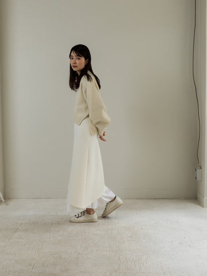 Noel/hide&seek skirt(SET)